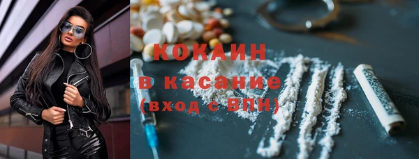 дживик Алексин