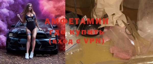 гидра Алексеевка