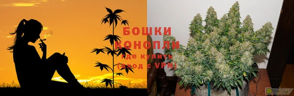 гидра Алексеевка