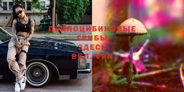 гидра Алексеевка