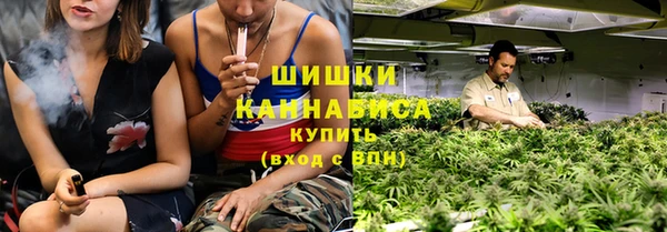гидра Алексеевка