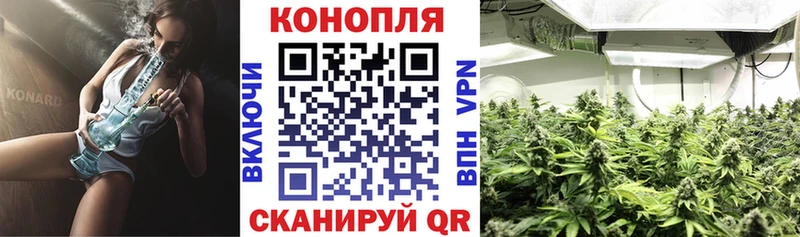 Бошки марихуана VHQ Ардон